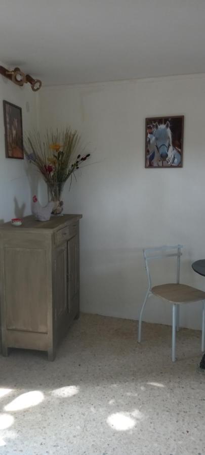 Petite Maison Dans La Campagne A 10 Mn A Pied Du Centre Ville Arles Ngoại thất bức ảnh