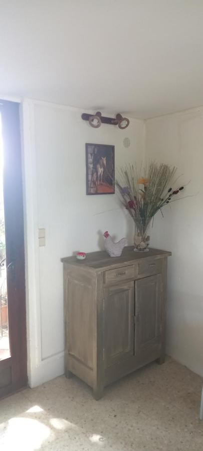 Petite Maison Dans La Campagne A 10 Mn A Pied Du Centre Ville Arles Ngoại thất bức ảnh