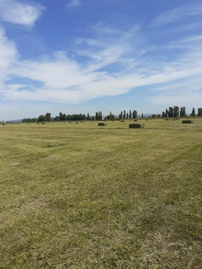 Petite Maison Dans La Campagne A 10 Mn A Pied Du Centre Ville Arles Ngoại thất bức ảnh